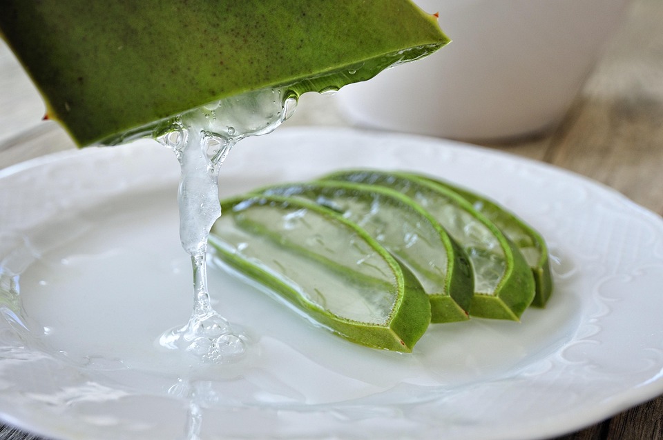 Propiedades curativas del aloe vera en la piel